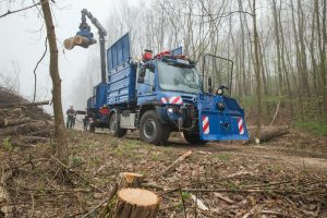 Unimog Transport Troncs Arbres