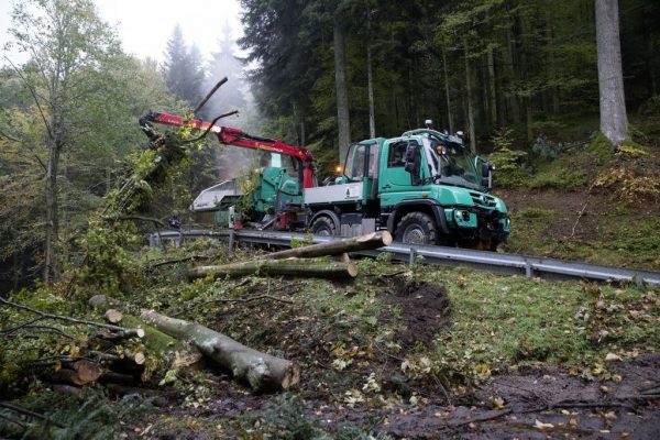 Usage en foret
